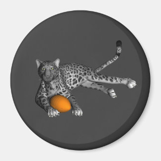 Footballs panter magneet