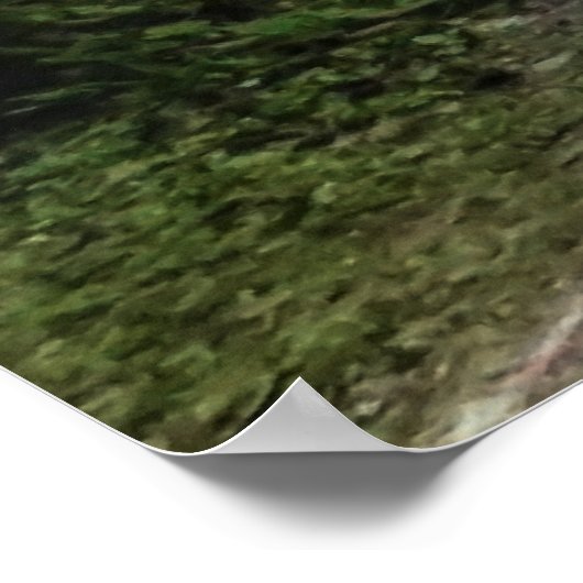 Footbridge 2 poster (Hoek)