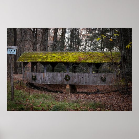 Footbridge in Fall Poster (Voorkant)