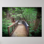 Footbridge Poster (Voorkant)