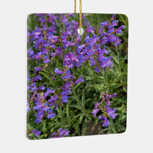 Foothill Penstemon Keramisch Ornament (Rechts)