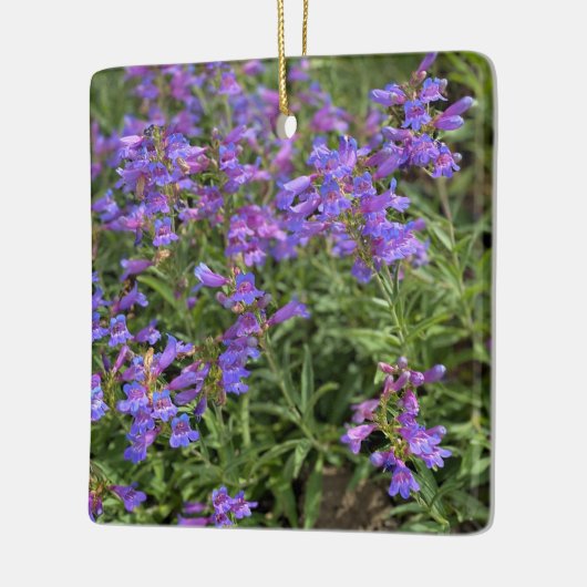 Foothill Penstemon Keramisch Ornament (Links)