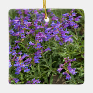 Foothill Penstemon Keramisch Ornament