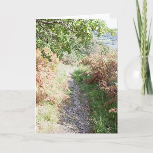 Footpath Coniston England Kaart (Voorkant)