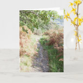 Footpath Coniston England Kaart (Gele Bloem)