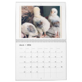 For the Love of Chickens 2026 Calendar Kalender (Mar 2026)