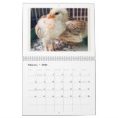 For the Love of Chickens 2026 Calendar Kalender (Feb 2026)