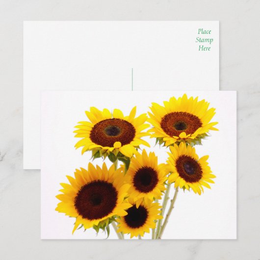 Foral Zonnebloemen Gele Bloemen - Liefde, Miss You Briefkaart (Voorkant / Achterkant)