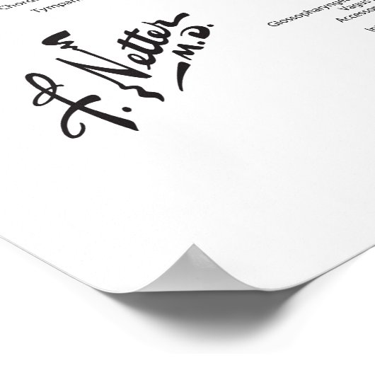 Foramina en kanaals van schedelbasis: inferieur Ui Poster (Hoek)