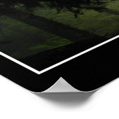 "FORBIDDEN MISTS" Green Misty Forest Foto Poster (Hoek)