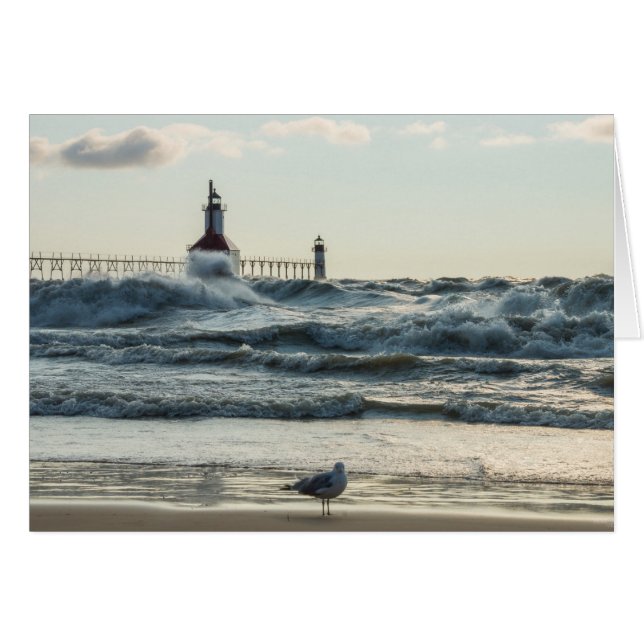 Force Behind Beauty (Voorkant Horizontaal)