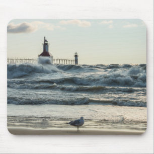 Force Behind Beauty Muismat