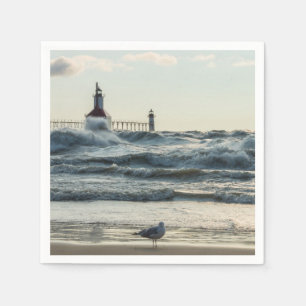 Force Behind Beauty Servet