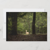 Forces | A White Tailed Deer in the Woods Bedankkaart (Voorkant)