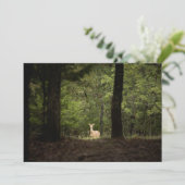 Forces | A White Tailed Deer in the Woods Bedankkaart (Staand voorkant)