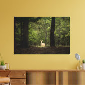 Forces | A White Tailed Deer in the Woods Canvas Afdruk (Insitu (Woonkamer))