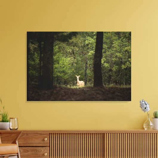 Forces | A White Tailed Deer in the Woods Canvas Afdruk (Insitu (Woonkamer))