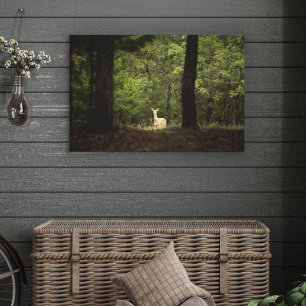 Forces   A White Tailed Deer in the Woods Canvas Afdruk