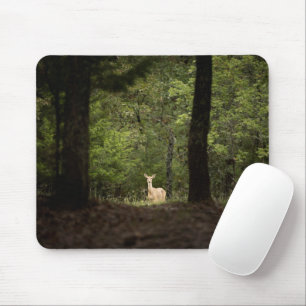 Forces A White Tailed Deer in the Woods Muismat