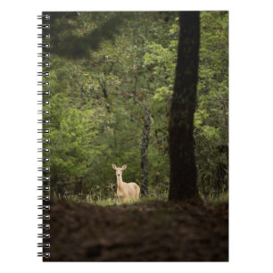 Forces   A White Tailed Deer in the Woods Notitieboek
