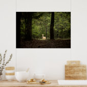 Forces | A White Tailed Deer in the Woods Poster (Keuken)