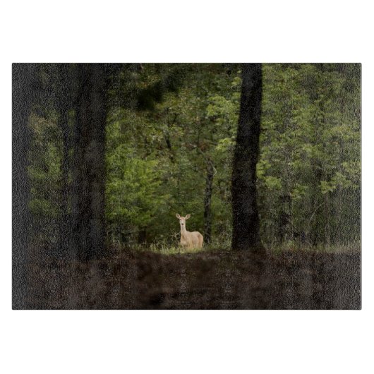 Forces | A White Tailed Deer in the Woods Snijplank (Voorkant)