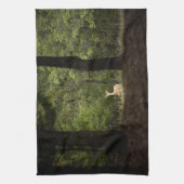 Forces | A White Tailed Deer in the Woods Theedoek (Verticaal)