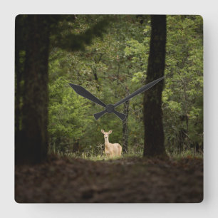 Forces   A White Tailed Deer in the Woods Vierkante Klok