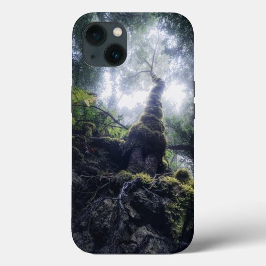 Forces Anaga Rural Park Canary Islands Case-Mate iPhone Case (Achterkant)
