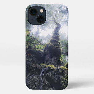 Forces Anaga Rural Park Canary Islands iPhone 13 Hoesje
