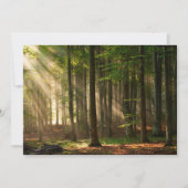 Forces | Autumn Forest Bedankkaart (Voorkant)