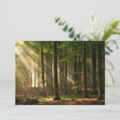 Forces | Autumn Forest Bedankkaart (Staand voorkant)