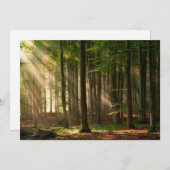 Forces | Autumn Forest Bedankkaart (Voorkant / Achterkant)