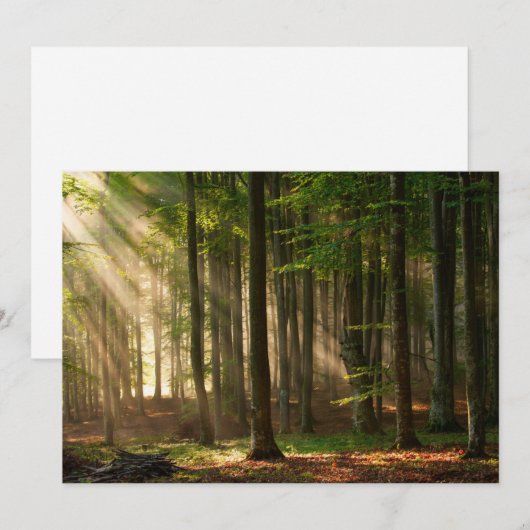 Forces | Autumn Forest Bedankkaart (Voorkant / Achterkant)