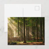 Forces | Autumn Forest Briefkaart (Voorkant / Achterkant)