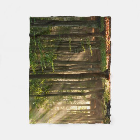 Forces | Autumn Forest Fleece Deken (Voorkant)