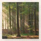 Forces | Autumn Forest Glazen Onderzetter (Voorkant)