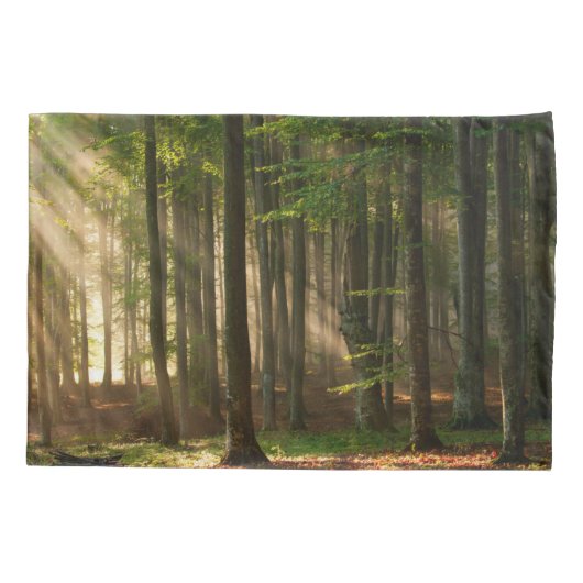 Forces | Autumn Forest Kussensloop (Achterkant)