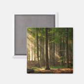 Forces | Autumn Forest Magneet (Voorkant / Achterkant)