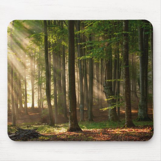 Forces | Autumn Forest Muismat (Voorkant)