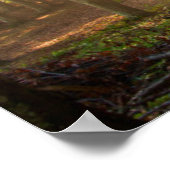 Forces | Autumn Forest Poster (Hoek)