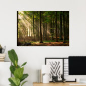 Forces | Autumn Forest Poster (Thuiskantoor)