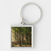 Forces | Autumn Forest Sleutelhanger (Voorkant)