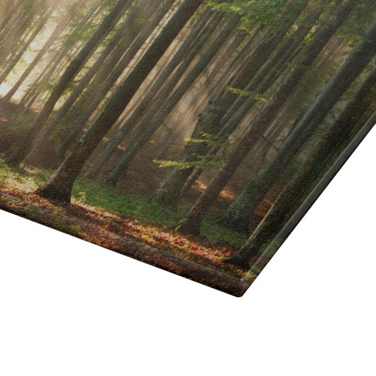 Forces | Autumn Forest Snijplank (Hoek)