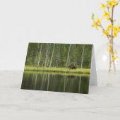 Forces | Bear at Taiga Forest Northern Finland Kaart (Gele Bloem)