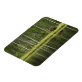 Forces | Bear at Taiga Forest Northern Finland Magneet (Linkerzijde)