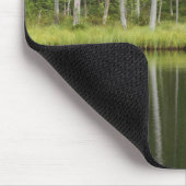 Forces | Bear at Taiga Forest Northern Finland Muismat (Hoek)