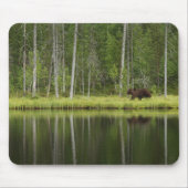 Forces | Bear at Taiga Forest Northern Finland Muismat (Voorkant)