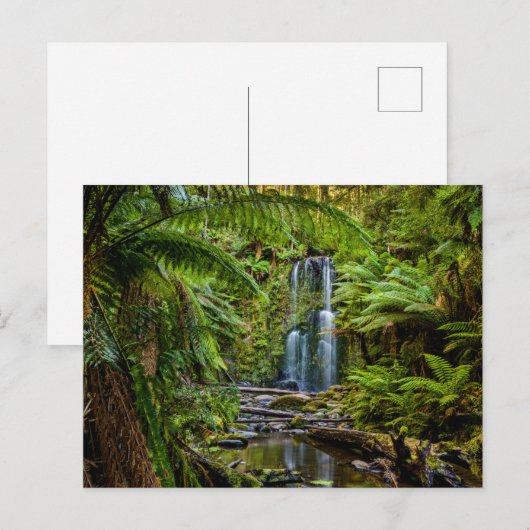 Forces Beauchamp Falls Australia Briefkaart (Voorkant / Achterkant)