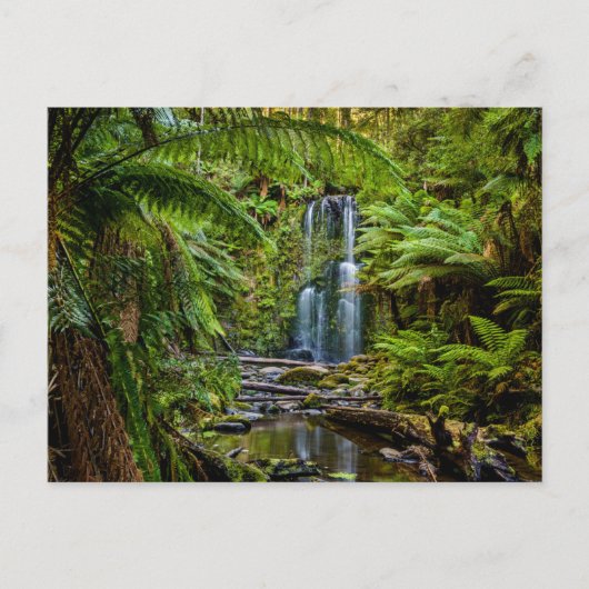 Forces Beauchamp Falls Australia Briefkaart (Voorkant)